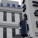 답21동물병원 이미지