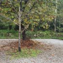 봉바위농원 이미지