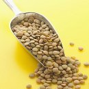풀마니 이미지