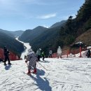 정선 이미지
