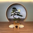 스테이모리 이미지