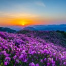 푸른부동산중개 이미지