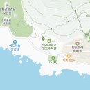 김수진 고문(동로, 2대 회장 역임) 장남 결혼 알림 [청첩 취소] 이미지