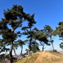 부용로55번길 이미지