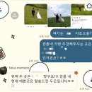 노을이슬 | 강릉 야외 웨딩 스냅 업체 누메모아 촬영 솔직후기 + 보정본까지!
