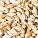 밥상은보약 이미지