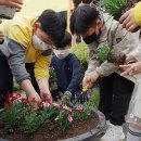 천태초등학교 이미지