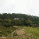 무성공인중개사사무소 이미지