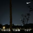 10k 언저리 뛰고 하프 뛰어본 서울레이스 후기 (마일리지 150k)