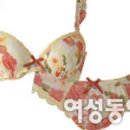 아트샤빌