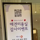 앤써독 이미지