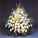 쌍송북로 이미지