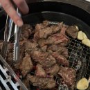 강동갈빗살 이미지