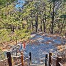 정동진1리 이미지