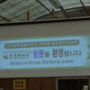 변호사박영태법률사무소 - 마포구 마포대로 144 | 변호사박영태법률사무소