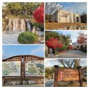 호미곶해수탕 | 번째, 미캠 타고 삼만리 (22. 11. 14~11. 20)경북 상주, 영덕, 포항, 경주, 경남 합천 여행 후기 입니다.