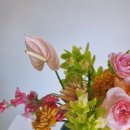 번치(BUNCH) 이미지