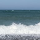 감포은정아구 이미지