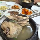 목우촌마을파주광탄점 | 파주 광탄 맛집 촌닭마을 토종삼계탕 후기｜마장호수 근처 몸보신 맛집
