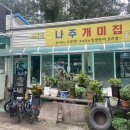 나주개미집 이미지