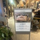 스시덴참치 | 일산 킨텍스 현대백화점 초밥 맛집 스시덴고쿠 아기동반 후기
