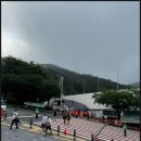 김해급식소 | 김해숲길마라톤 참가 후기 _ 250616