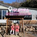 경주 연박하기 좋은 편하게 휴식할 수 있는 단체 숙소, 아이들과 여행 숙소 추천 [미소 풀하우스]