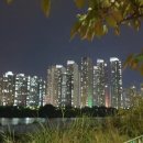 아암대로 이미지