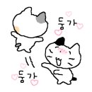 매소홀로1L 네이버블로그