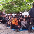 이영식농장 이미지