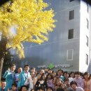 은행나무한방병원 이미지