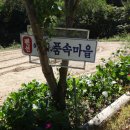 어머니품속마을펜션
