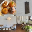 연리희재 | 파주 베이커리 카페 : 개성주악 맛집 연리희재 , 주말 웨이팅 후기