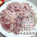 이모활어횟집 | 속초회초장:: 통영 중앙시장 갓성비 싱싱한 활어 횟집 추천, 초장집, 회포장 맛집