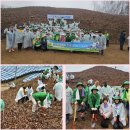 한국교통장애인협회 영덕군지회 | (사)제천시새마을회, 중국발 코로나19 엔데믹(풍토병화) 대응-농촌일손돕기 폐비닐수거봉사활동/3105...