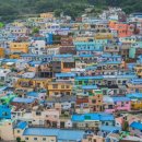 감천할아버지 이미지