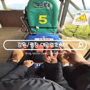 낙하목장 | 아이랑 평창 놀거리 알펜시아리조트 대관령코스터 스키시즌 오픈