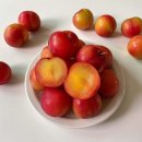 애프터짐 이미지