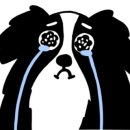 펠리스뻬로 이미지