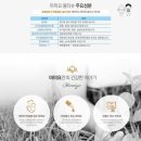 블루마미 이미지