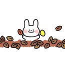 오오점핑 이미지