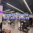 라온 휘트니스 | 천안 두정동 일대일 PT전문 미라온 휘트니스 천안두정점(박상준트레이너 PT 찐 후기)