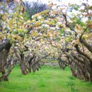 일산농장 이미지