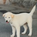 한비 이미지