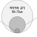 MELT(멜트) 이미지