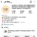 엠플로르 이미지