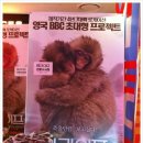 그린원라이프 | [원라이프] 더불어 함께 살아가는 동물들의 삶을 재미...8월 9일 동대문 베가박스 언론 시사회 후기입니다.