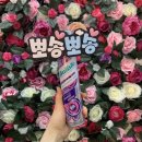 2019 서울 국제 화장품 • 미용산업 박람회 후기 / COSMO BEAUTY SEOUL 2019