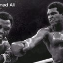 참피온복싱 이미지