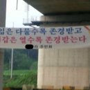 숙성도마 이미지